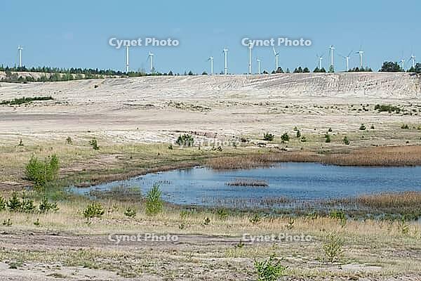 2017, Brandenburg, Germany, Mainzer Land, Nabu, Nabu Project, national natural heritage, Grünhaus natural paradise, post-mining landscape, Grünhaus [IBR125173396]