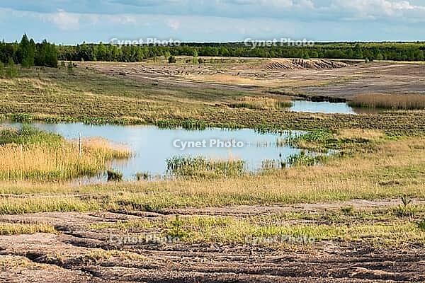 2015, Brandenburg, Germany, Mainzer Land, Nabu, Nabu project, national natural heritage, natural paradise Grünhaus, post-mining landscape, cultivated landscape, erosion, green house, high size, portrait format, cultural landscape, landscape, landscape [IBR125173400]