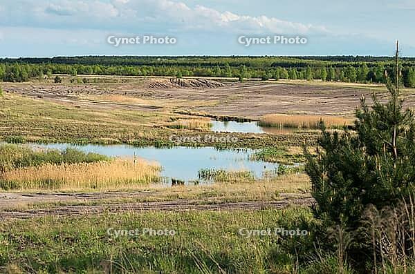 2015, Brandenburg, Germany, Mainzer Land, Nabu, Nabu project, national natural heritage, natural paradise Grünhaus, post-mining landscape, cultivated landscape, erosion, green house, high size, portrait format, cultural landscape, landscape, landscape [IBR125173401]