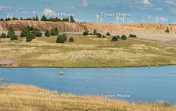 2015, Brandenburg, Germany, Mainzer Land, Nabu, Nabu Project, national natural heritage, Grünhaus natural paradise, post-mining landscape, cultivated landscape, Grünhaus, cultural landscape, landscape, landscape [IBR125173415]