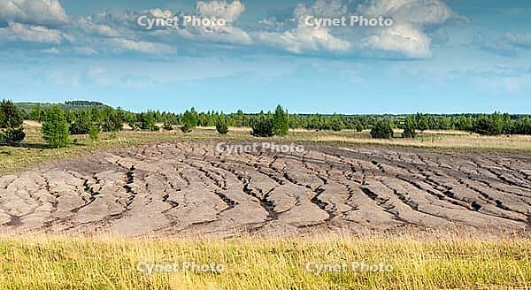 2015, Brandenburg, Germany, Mainzer Land, Nabu, Nabu project, national natural heritage, natural paradise Grünhaus, post-mining landscape, cultivated landscape, erosion, green house, high size, portrait format, cultural landscape, landscape, landscape [IBR125173416]