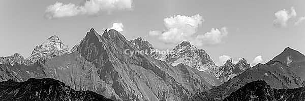 Summer in the Alps, mountain panorama from Fellhorn 2037 m, of the green grassy Höfats, 2259 m, Hochvogel in the back left, 2592 m, and on the right Kleiner Wilder, 2306 m, Allgäu Alps, Bavaria, Germany [IBR125173439]