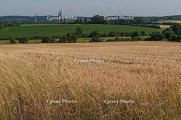 Wide fields and green hills with church and windmills on the horizon under clear sky, Billerbeck, North Rhine-Westphalia, Germany [IBR125173445]