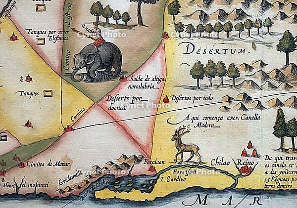 Old coloured map of Ceylon or Sri Lanka decorated with an elephant, by Jodocus Hondius from the Mercator Hondius Atlas, Amsterdam, 1633 [IBR125177954]