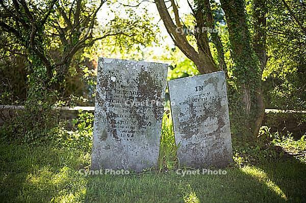Tombstones, graves, trees, flooded with light, cemetery, parish church, St Just in Penwith, Cornwall, England, Great Britain, Great Britain [IBR125177956]