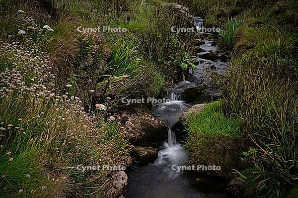 Stream, stream, long exposure, motion effect, Cot Valley Beach Porth Nanven, beach, coast, St Just in Penwith, Cornwall, England, Great Britain, Great Britain [IBR125177980]