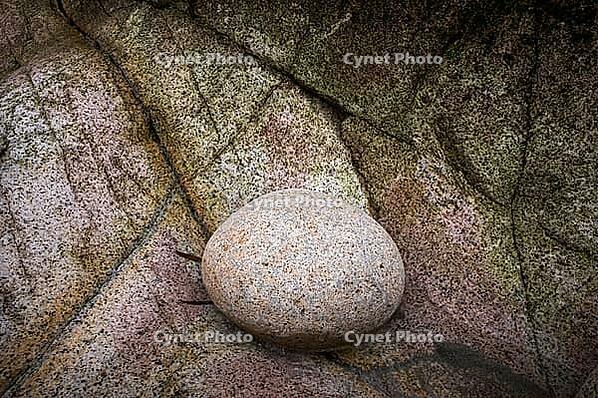Stones, pebbles, pebbles, Cot Valley Beach, Porth Nanven, also beach of dinosaur eggs, coast, St Just in Penwith, Cornwall, England, Great Britain, Great Britain [IBR125177983]