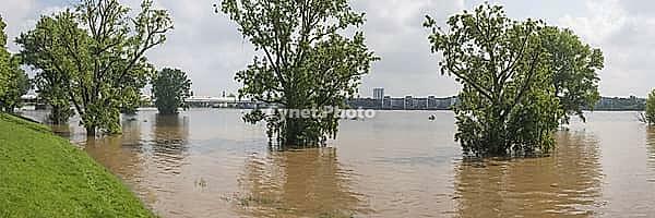 Hochwasser am Rhein, Hahinter Cologne-Mülheim, Cologne, North Rhine-Westphalia, Germany [IBR125177999]