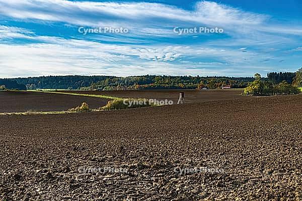 Autumn fields ordered for winter [IBR125180299]