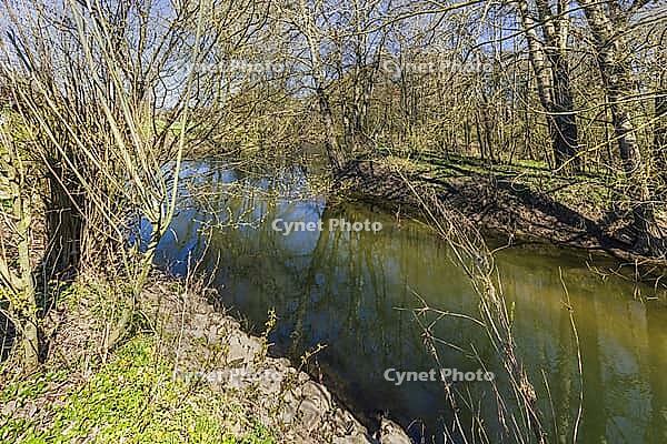 View from the Red Main towards its confluence with the White Main (in the foreground on the right) [IBR125180304]