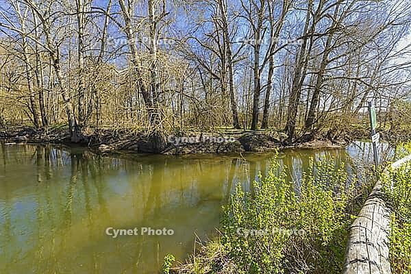 The confluence of the White Main (on the left) and the Red Main to form the River Main [IBR125180307]