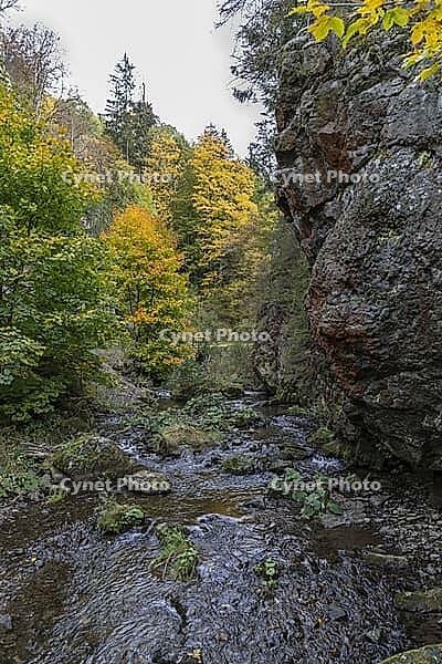 The Steinach gorge at the breakthrough through the quartz keratophyr bar [IBR125180318]
