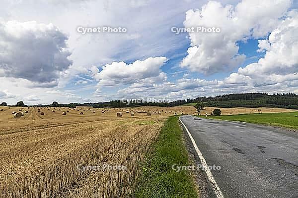 Harvested cornfield with straw rolls [IBR125180331]