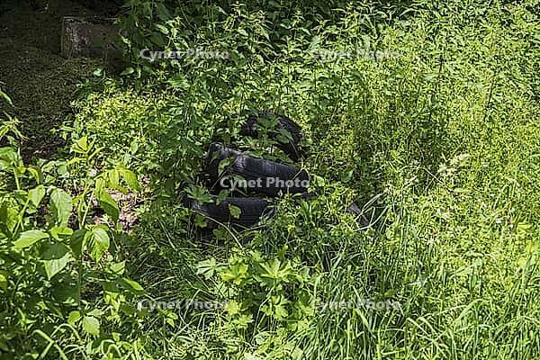 Car tires illegally disposed of at the edge of the forest [IBR125180337]