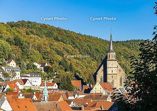 View of the old town of Kulmbach with St. Peter's Church in front of the autumnal castle hill [IBR125180349]