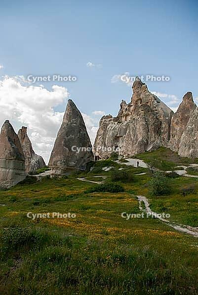 Scenic Cappadocia valley in Turkey featuring fairy chimneys, soft sunlight, rugged formations, and greenery in Turkey [IBR125180373]