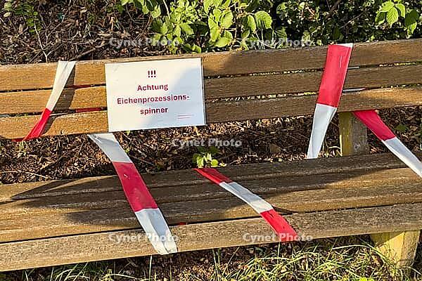 Park bench in the sun, blocked with barrier tape and sign oak procession spinner, Guxhagen, Hesse, Germany [IBR125180386]