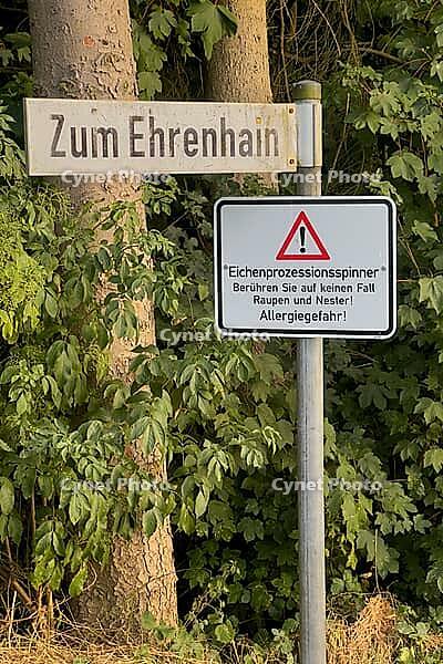 Warning sign in the forest with reference to oak processional spinner infestation, Guxhagen, Hesse, Germany [IBR125180387]