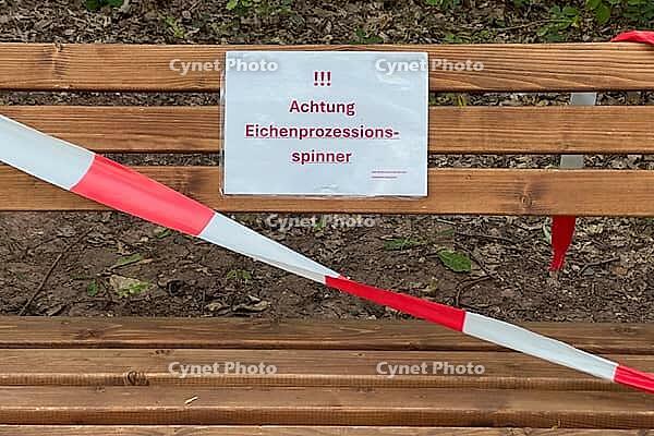 Close-up of a locked bench with warning sign about the risk of allergy due to oak procession spinners, Guxhagen, Hesse, Germany [IBR125180389]