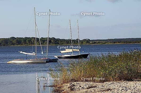 The 4 small boats are bobbing close together in the smooth water of the bay. The wonderful natural sandy beach in the foreground is bordered by tall reed grass [IBR125185823]