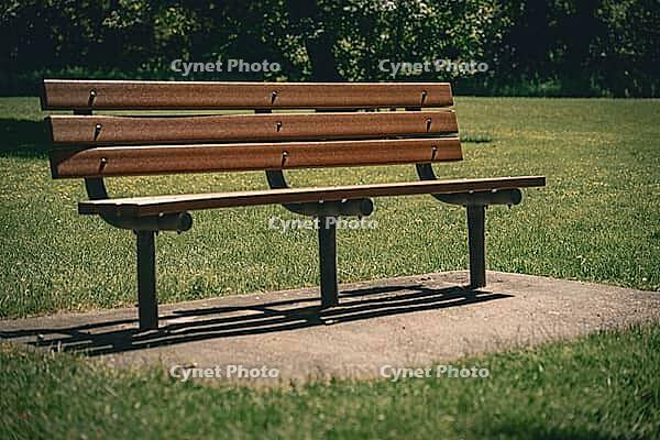 Wooden park bench on a concrete pad surrounded by grass in a park. abstract concepts of pause, waiting period, quiet contemplation [IBR125185825]
