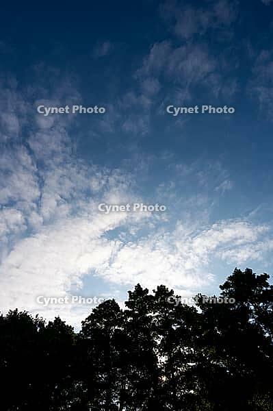 Tree silhouettes under a blue sky with scattered white clouds, weather photo, a mix of sun and clouds above 27798 Hude, Oldenburg district, Germany [IBR125185836]