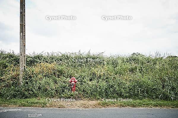 44490 Le Croisic, Brittany, France, lonely red water hydrant on the side of the road [IBR125185848]