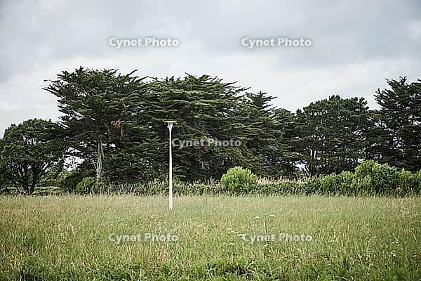 44490 Le Croisic, Brittany, France, Lonely lamppost in the middle of a meadow [IBR125185860]
