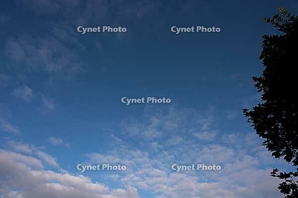 Blue sky with clouds and silhouette of a tree on the side, weather photo, a mix of sun and clouds above 27798 Hude, Oldenburg district, Germany [IBR125185861]