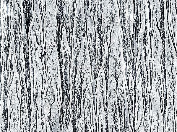 Abstract surface paint closeup background [IBR125188179]