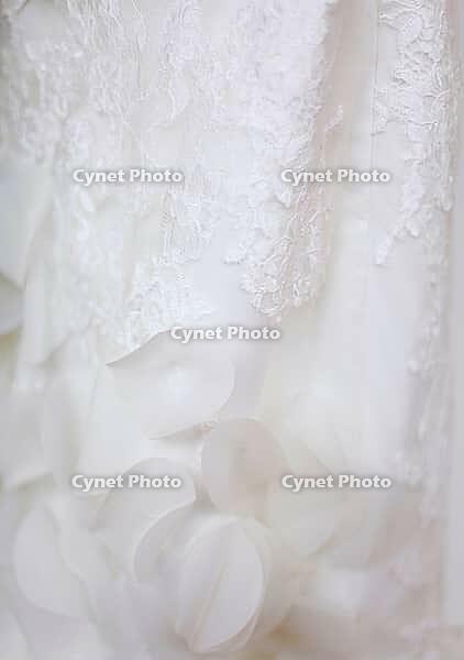 Wedding dress [IBR125188198]