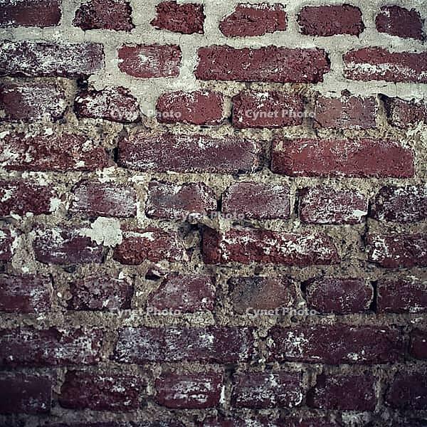 Brickwall background texture [IBR125188221]