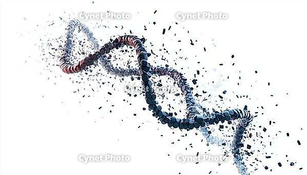 Destruction Of A Dna Molecule Captured In An Image - Depiction Of The Degradation Of A Dna Helix In Visual Form, AI generated [IBR125195749]