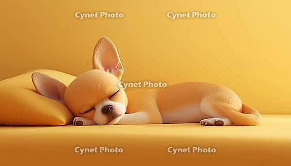 Adorable Sleepy Chihuahua Resting On Bed In Morning With Natural Light From Window. Relaxing On Cozy Spot For Lazy Weekend, AI generated [IBR125200668]