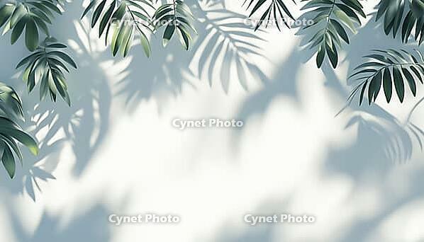 Tropical Leaves Cast Shadows And Light On Wall, Creating A Misty Blur. Tree Branches And Sunlight Create A Natural Scene For Wallpaper, AI generated [IBR125200680]