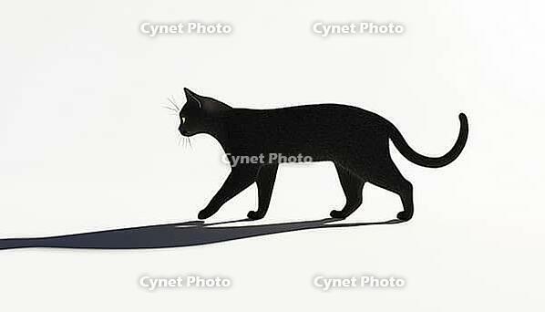 Silhouette Of Cat Moving In The Dark Is A Description That Refers To The Black Shadow Of A Cat As It Walks, AI generated [IBR125200707]