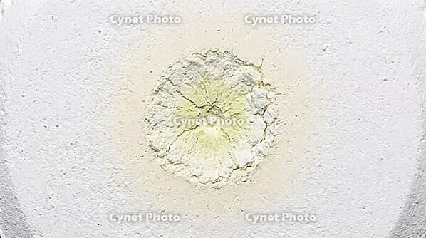 Compressed white pool chlorine tablet surface extreme macro, central decomposition zone showing yellow-green discoloration radiating from single contact point through pristine white unreacted outer surface, chlorinated isocyanurate chemical reaction initi [IBR125200741]
