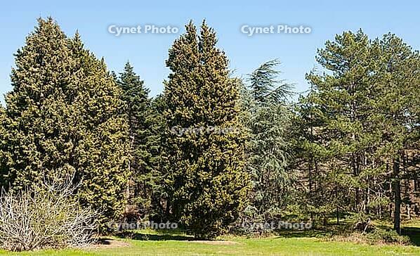 Botanic garden in Saints Constantine and Helena resort, Bulgaria [IBR125203191]