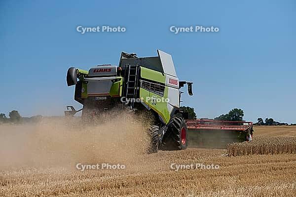 Grain harvesting with a threshing machine, agriculture, grain, Neuenstein, Hohenlohe, Germany [IBR125203232]