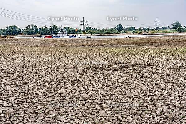 Extreme low tide level on the Rhine, after the driest and warmest July, since the weather was recorded, level record low, the banks are falling dry, shipping can only travel with reduced load and speed, Duisburg-Walsum, ferry terminal of the car and passe [IBR113322391]