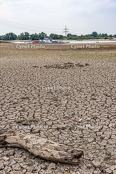 Extreme low tide level on the Rhine, after the driest and warmest July, since the weather was recorded, level record low, the banks are falling dry, shipping can only travel with reduced load and speed, Duisburg-Walsum, ferry terminal of the car and passe [IBR113322395]