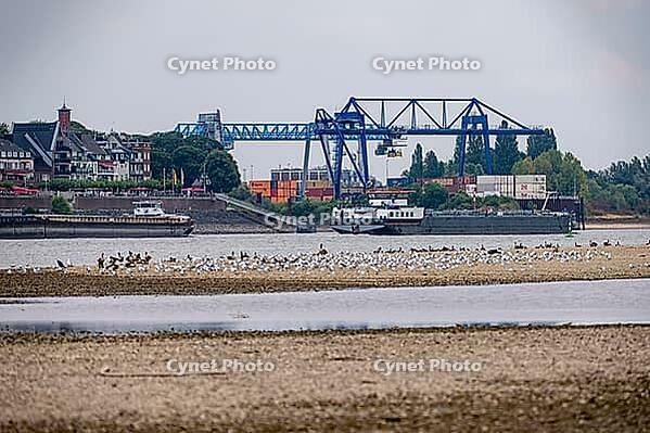 Rhine near Emmerich, extreme low water, Rhine level at 5 cm, downward trend, cargo ships sometimes have to travel with only 30 percent of the usual load, container terminal, port, the Contargo Rhine-Waal-Lippe in Emmerich North Rhine-Westphalia, Germany [IBR113322400]