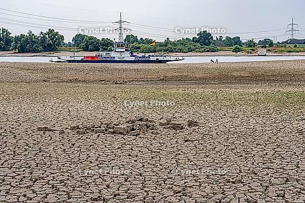 Extreme low tide level on the Rhine, after the driest and warmest July, since the weather was recorded, level record low, the banks are falling dry, shipping can only travel with reduced load and speed, Duisburg-Walsum, ferry terminal of the car and passe [IBR113322441]