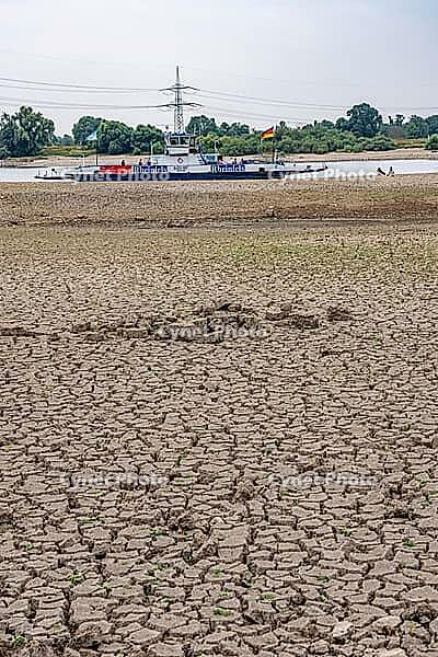 Extreme low tide level on the Rhine, after the driest and warmest July, since the weather was recorded, level record low, the banks are falling dry, shipping can only travel with reduced load and speed, Duisburg-Walsum, ferry terminal of the car and passe [IBR113322445]