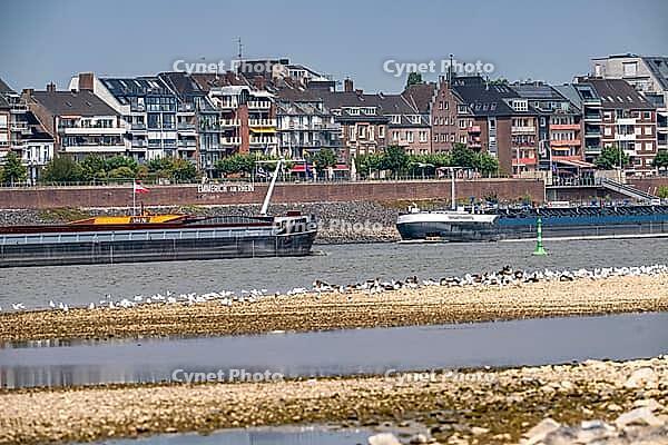 Rhine near Emmerich, extreme low water, Rhine level at 5 cm, downward trend, cargo ships sometimes only have to travel with 30 percent of the usual load, backdrop of the Emmerich waterfront, North Rhine-Westphalia, Germany [IBR113322448]
