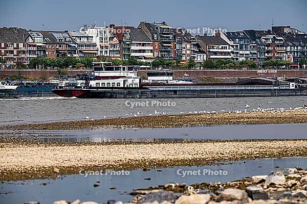 Rhine near Emmerich, extreme low water, Rhine level at 5 cm, downward trend, cargo ships sometimes only have to travel with 30 percent of the usual load, backdrop of the Emmerich waterfront, North Rhine-Westphalia, Germany [IBR113322450]