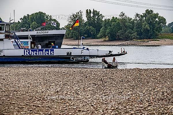 Extreme low tide level on the Rhine, after the driest and warmest July, since the weather was recorded, level record low, the banks are falling dry, shipping can only travel with reduced load and speed, Duisburg-Walsum, ferry terminal of the car and passe [IBR113322451]