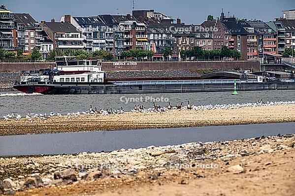 Rhine near Emmerich, extreme low water, Rhine level at 5 cm, downward trend, cargo ships sometimes only have to travel with 30 percent of the usual load, backdrop of the Emmerich waterfront, North Rhine-Westphalia, Germany [IBR113322462]