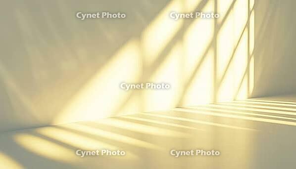 Organic Drop Diagonal Shadow Wall D$00E9Cor With Golden Light And Natural Light Effects On White Wall With Glare Rays, AI generated [IBR125211533]