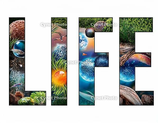 An artistic depiction of the word 'LIFE' filled with vivid imagery representing nature, wildlife, plants, and a serene sunset, symbolizing biodiversity and natural beauty, AI generated [IBR125229891]